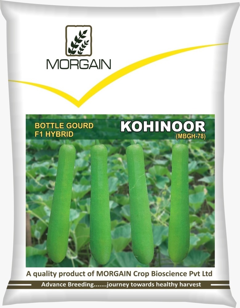 Kohinoor Mbgh-78 F1 Hybrid Bottle Gourd Seed - Cultivation Type: Common