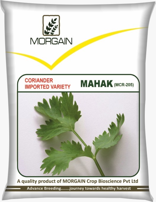 Mahak Mcr-205 Coriander Seed - Cultivation Type: Common