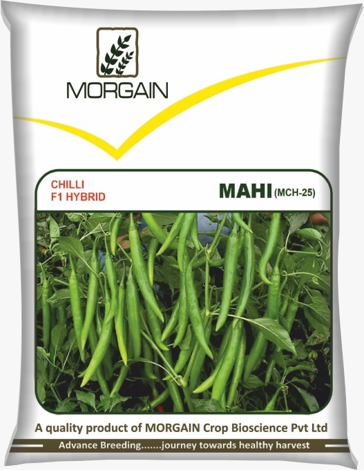 Mahi MCH-25 F1 Hybrid Cilli Seed