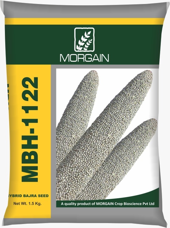 MBH-1122 Hybrid Bajara Seed