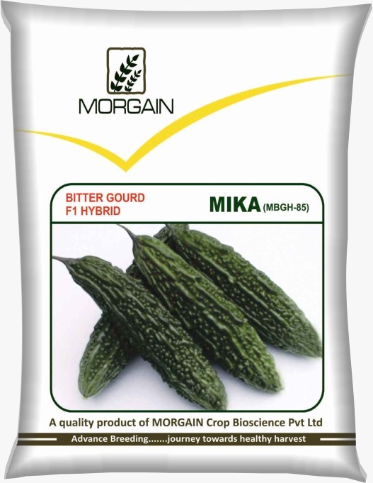 Mika Mbgh-85 F1 Hybrid Bitter Gourd Seed - Cultivation Type: Common