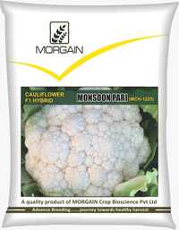Monsoon Pari Mch-1225 F1 Hybrid Cauliflower Seed - Cultivation Type: Common