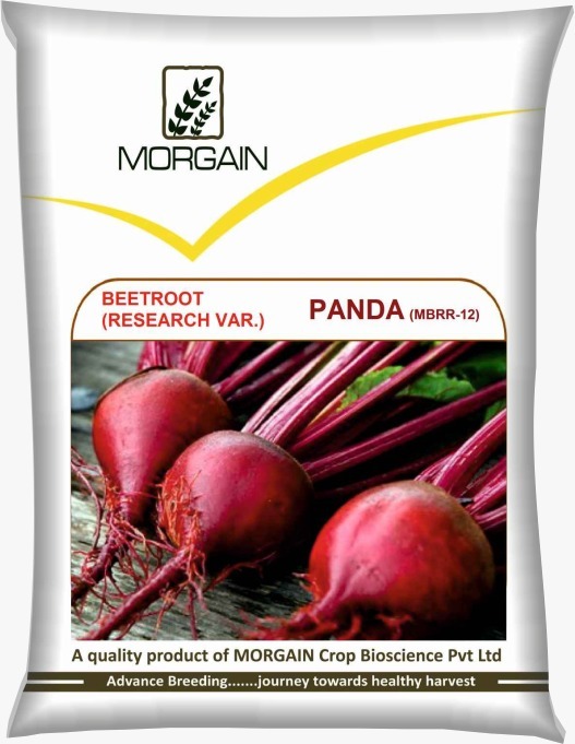 Panda Mbrr-12 Beet Root Seed - Cultivation Type: Common