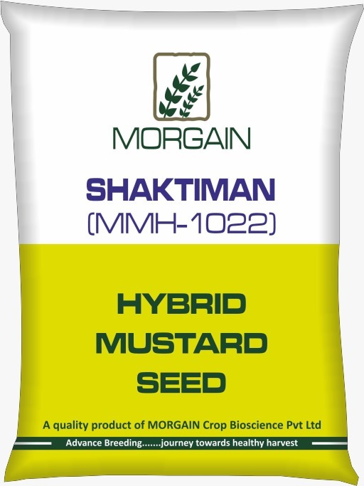 Shaktiman MMH-1022 Hybrid Mustard Seed