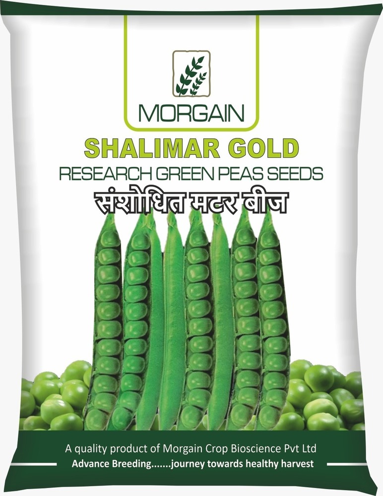 Shalimar Gold Green Peas Seed
