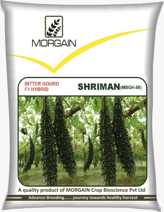 Shriman Mbgh-88 F1 Hybrid Bitter Gourd Seed - Cultivation Type: Common