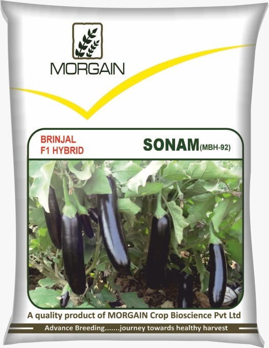 Sonam MBH-92 F1 Hybrid Brinjal Seed