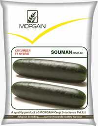 Souman MCH-60 F1 Hybrid Cucumber Seed