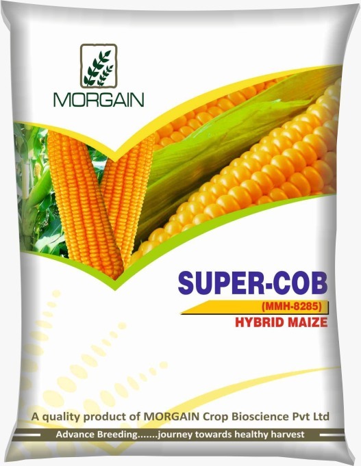 Super-COB MMH-8285 Hybrid Maize Seed