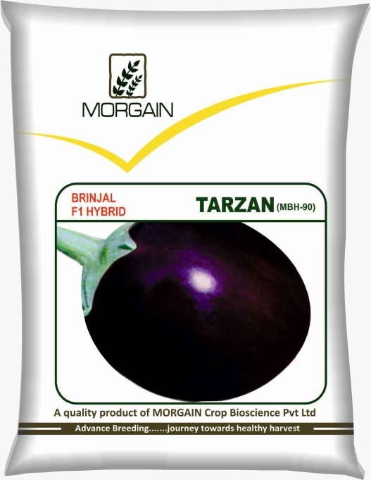 Tarzan MBH-90 F1 Hybrid Brinjal Seed