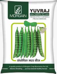 Yuvraj Mpr-10 Green Peas Seeds