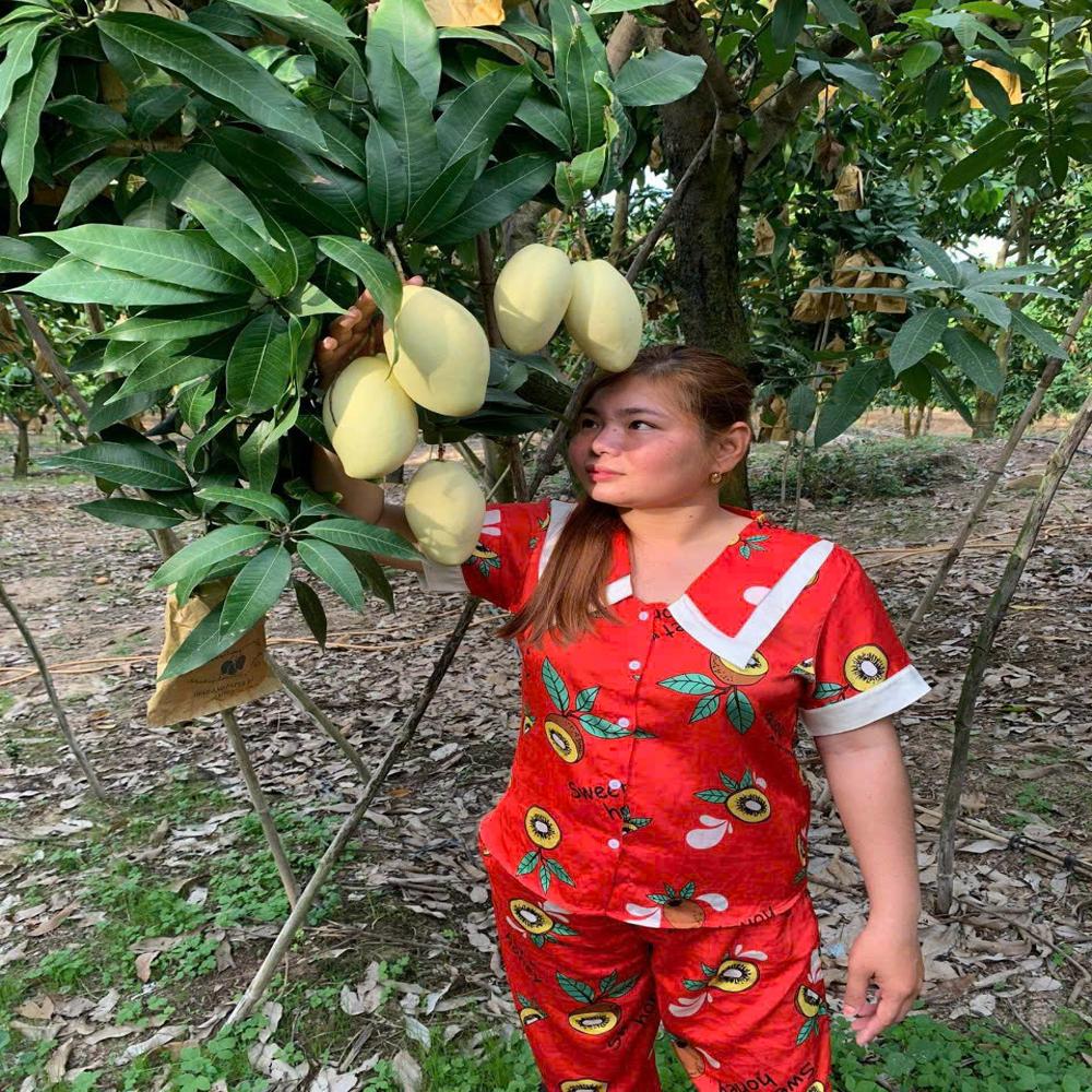 Fruit image when the bag is used