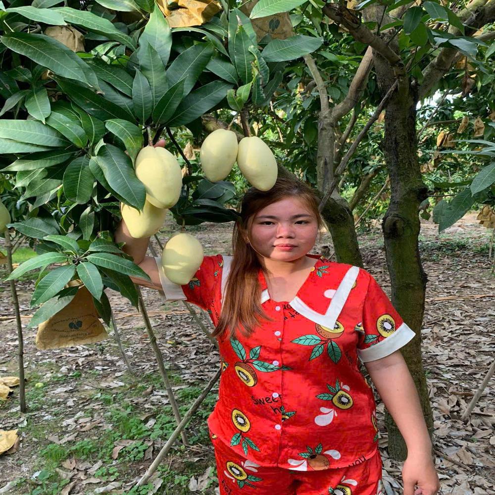 Fruit image when the bag is used