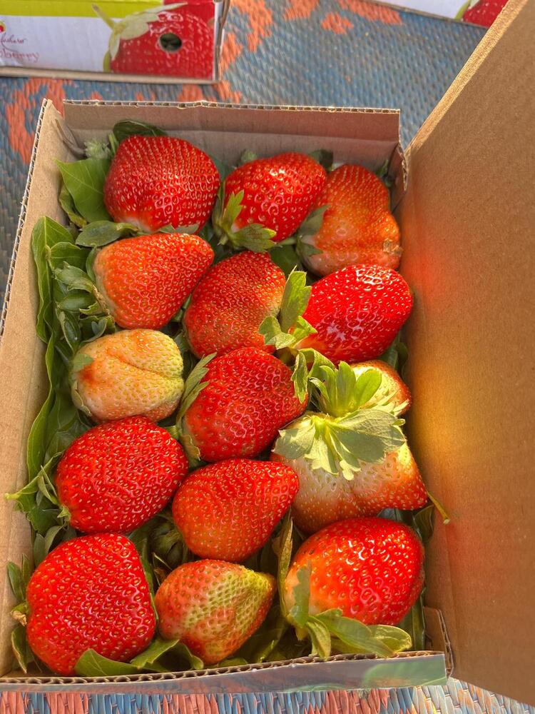 Natural Fresh Strawberry - Color: Red