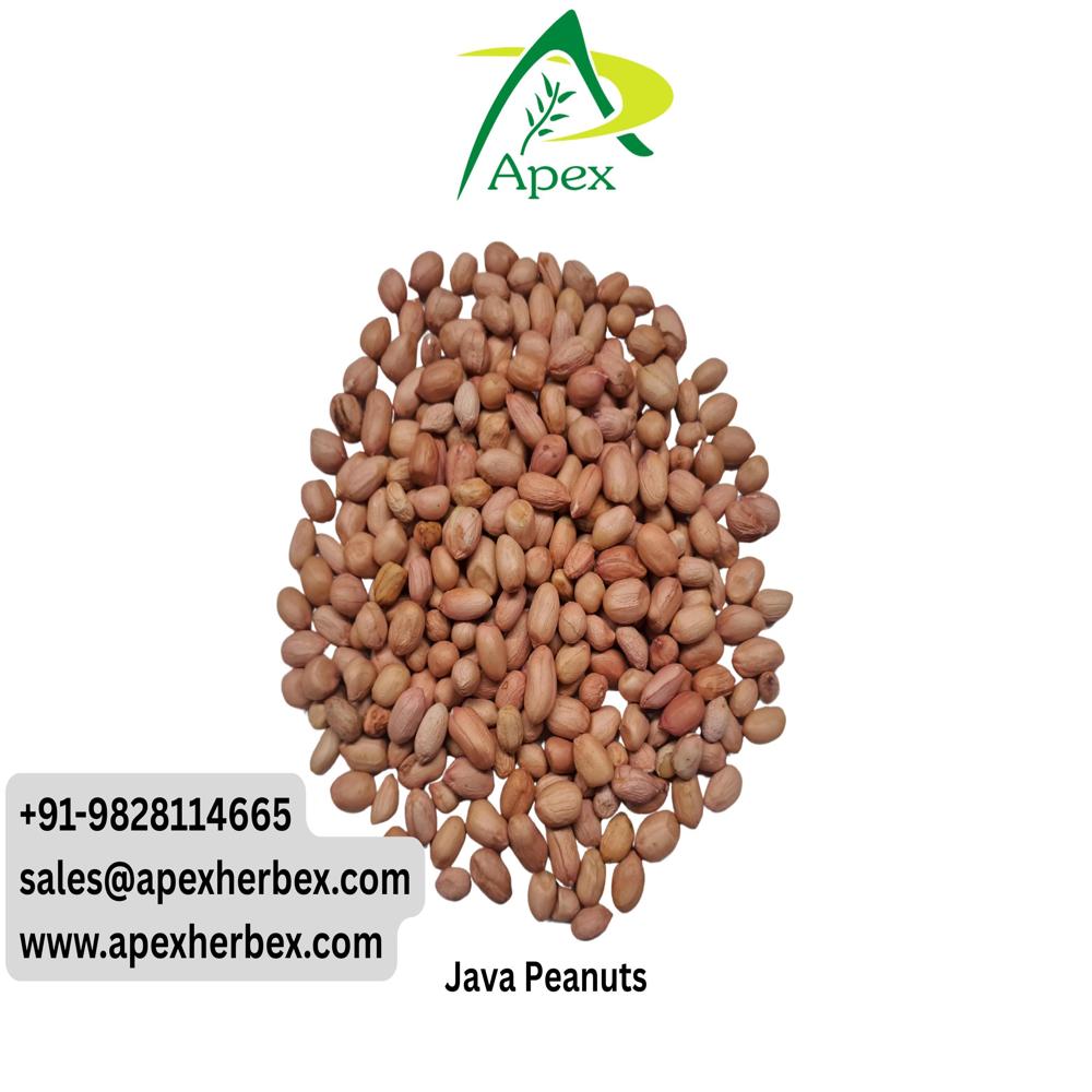 Peanut Java 40 50 - Color: Pink