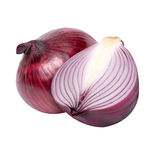 Fresh Onion - Moisture (%): 5% - 10%