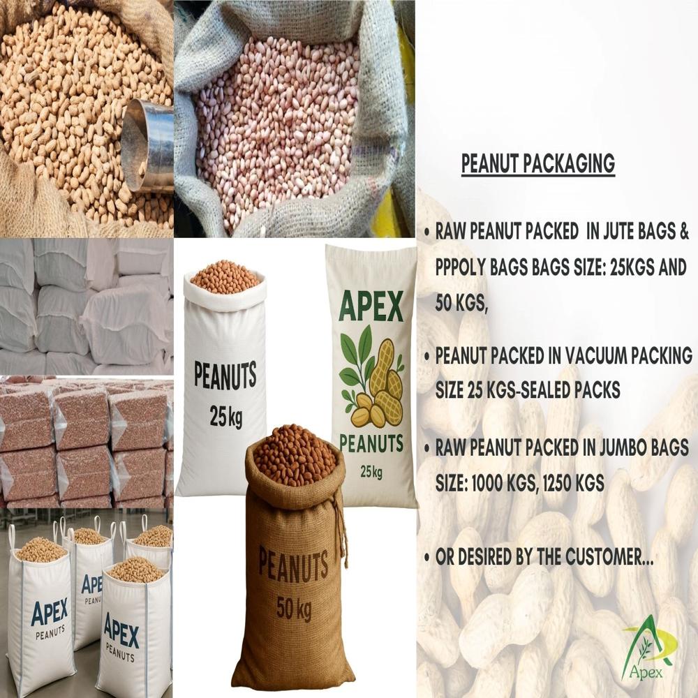 Blanched Peanut Split 50 60