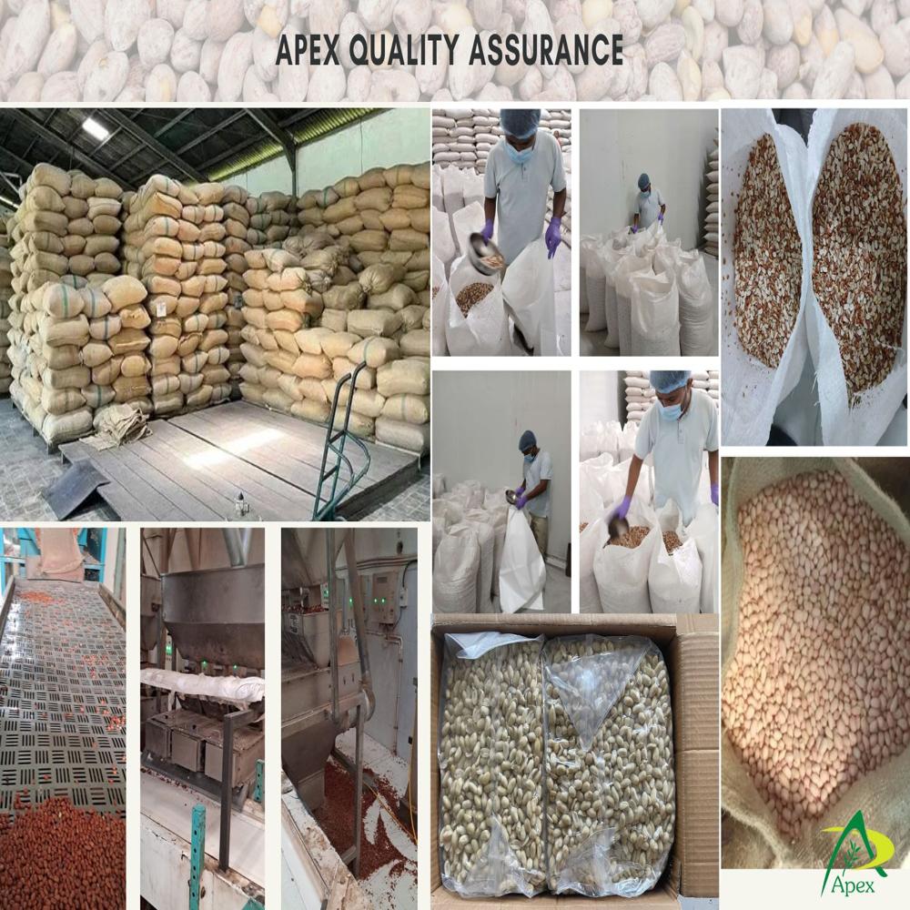 Blanched Peanut Split 50 60