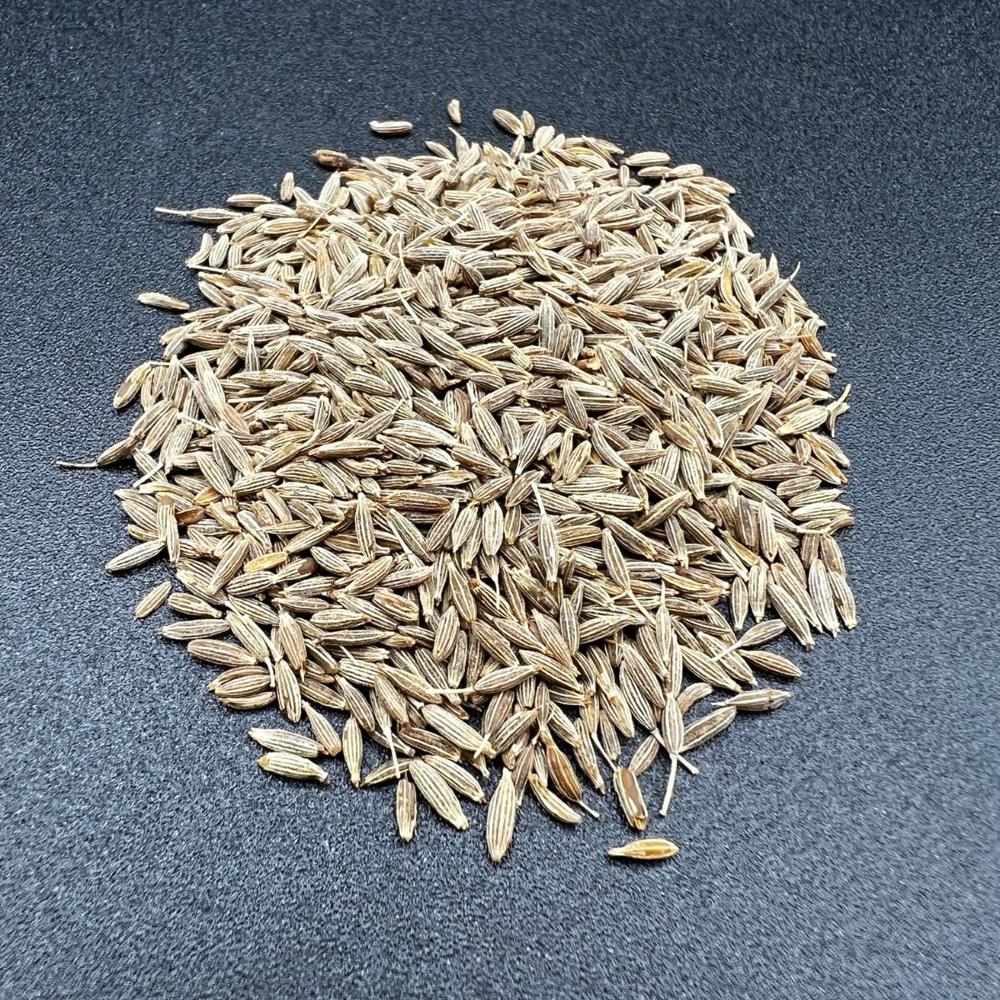 Premium Grade Cumin Seeds High Quality Spices for Cooking Raw Dried Herb