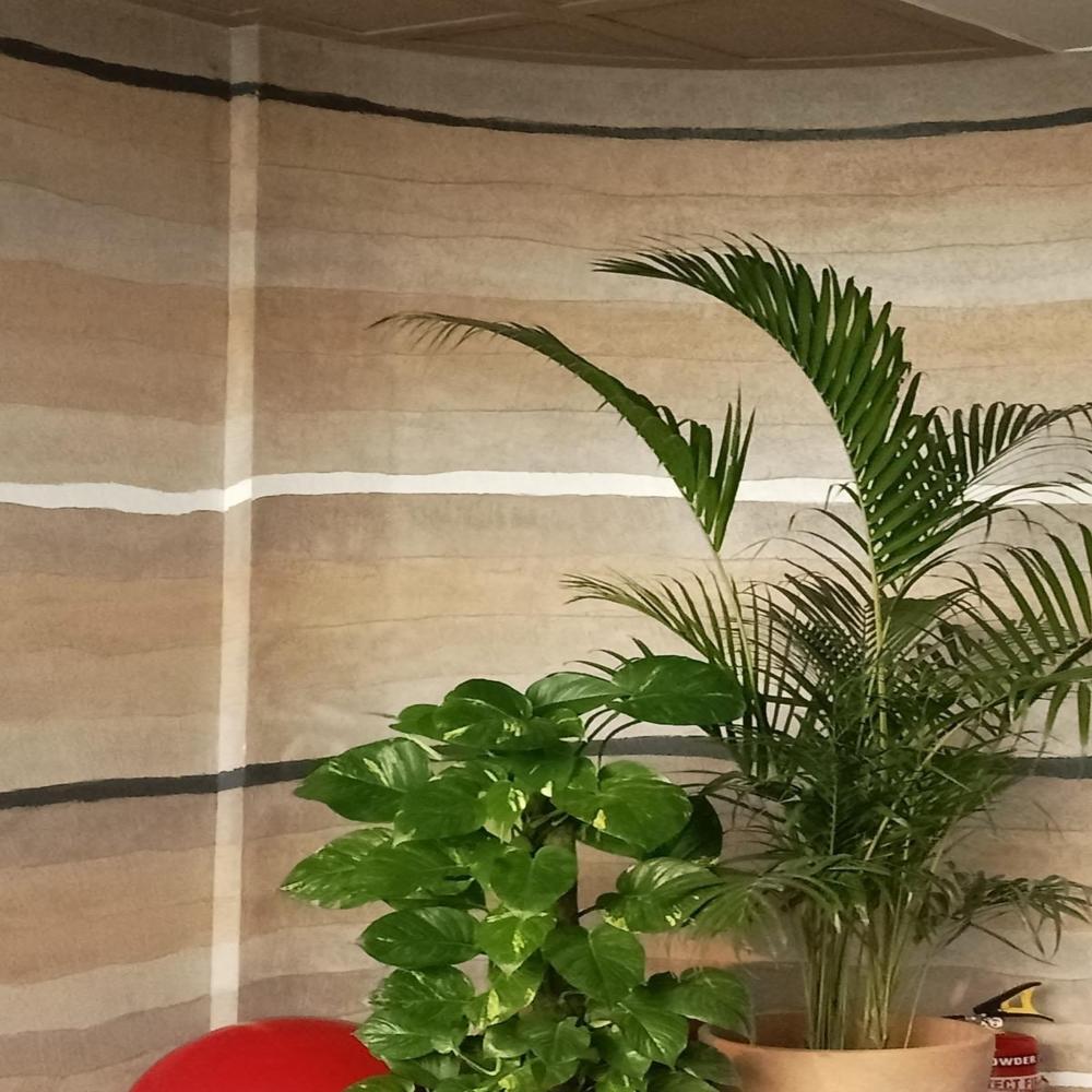 Knockdown Penalize Wall Finish Services