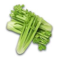 Celery Cury  (apium Graveolens) - Color: Green