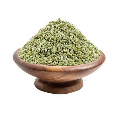 Fennel (Foeniculum vulgare)