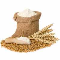 Wheat Flour