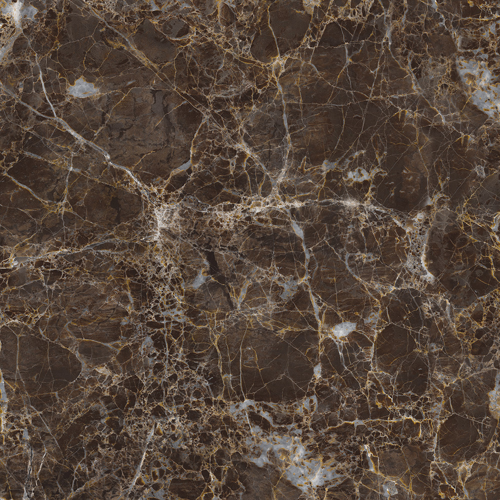 Avigon Choco Glossy Tiles - Color: Any Color