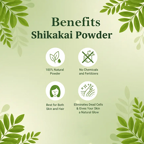 Shikakai Powder