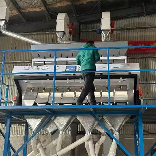 ZDH-512 8 chutes Ziziphus Jujuba Kernel Color Sorter Machine factory supply in China