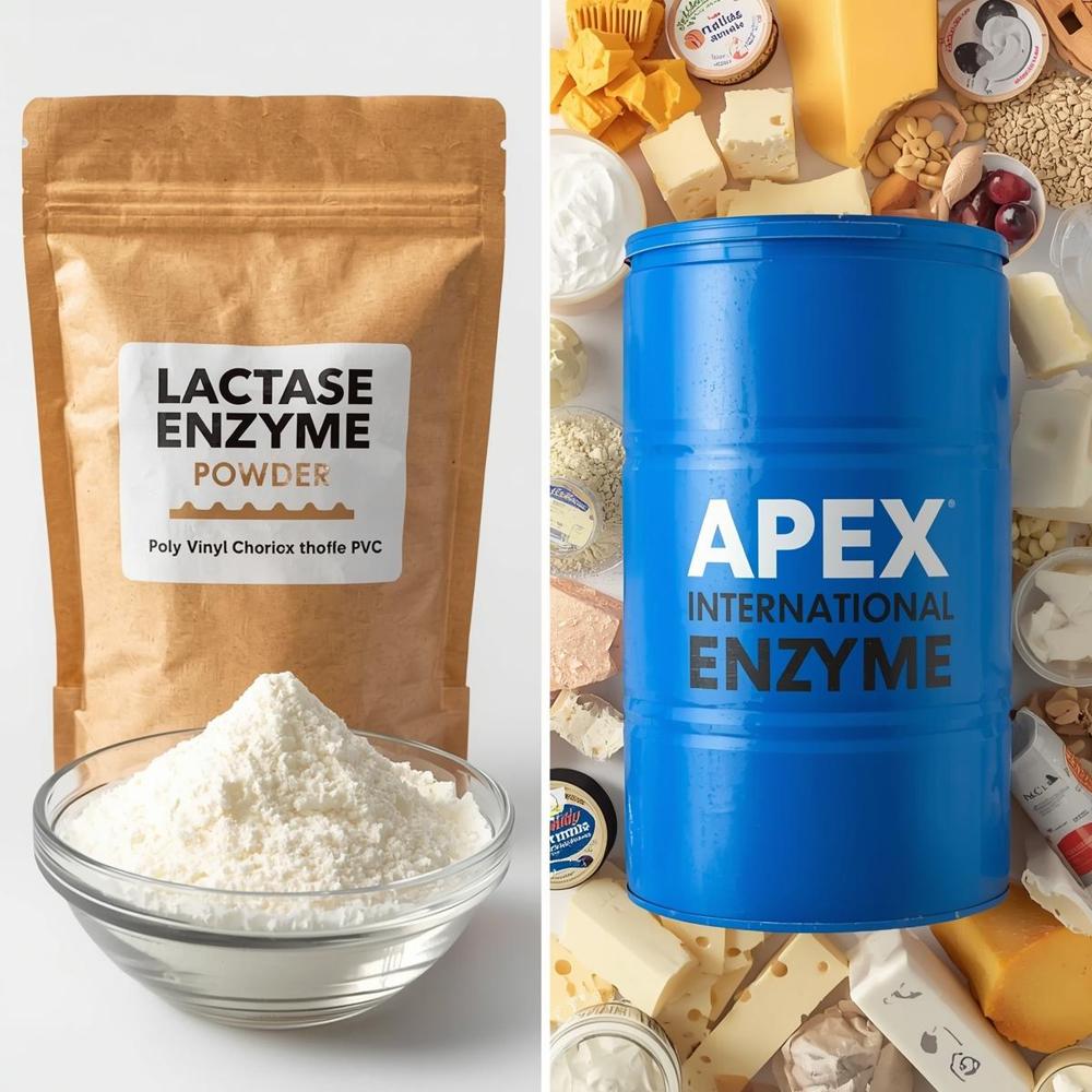 Lactase Enzyme Powder - Grade: 10000 Alu/gm To 100000 Alu/gm
