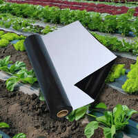 Bio-Degradable Mulching Paper