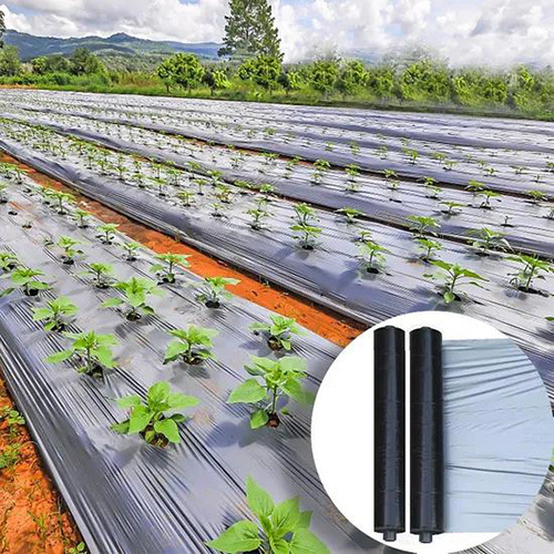 Virgin Mulching Paper Quality Agricultural - Color: Silver-Black /Black-Black/White-Black