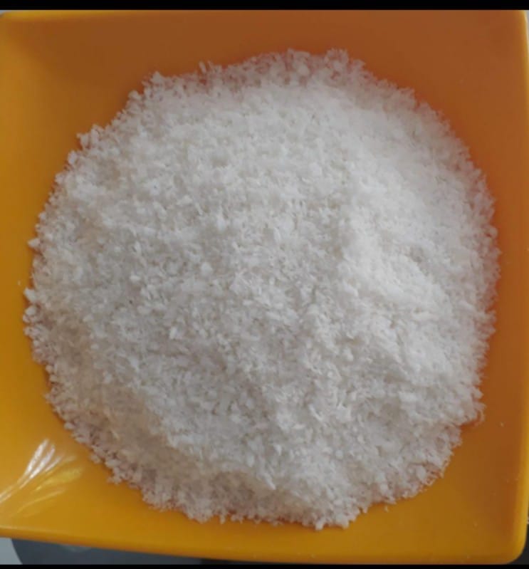 Desiccated Coconut Powder Vibro Dryer Machine