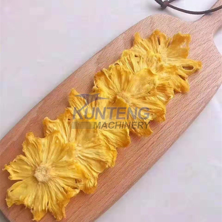 Fruit Dried Fruit Drying Machine - Color: Customized