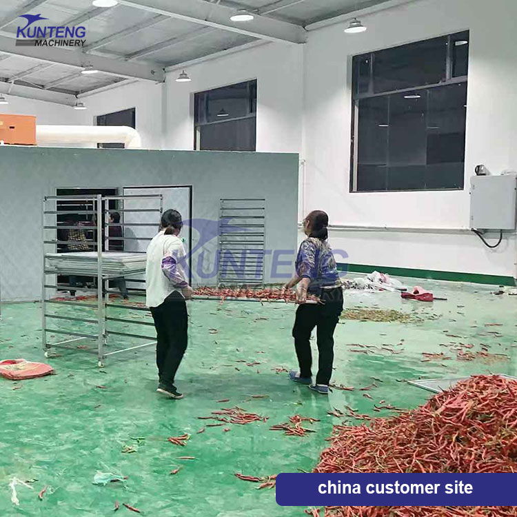 Fruit Dried Fruit Drying Machine - Color: Customized