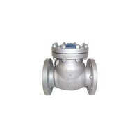 Industrial Check Valve