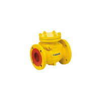 Swing Type Check Valve