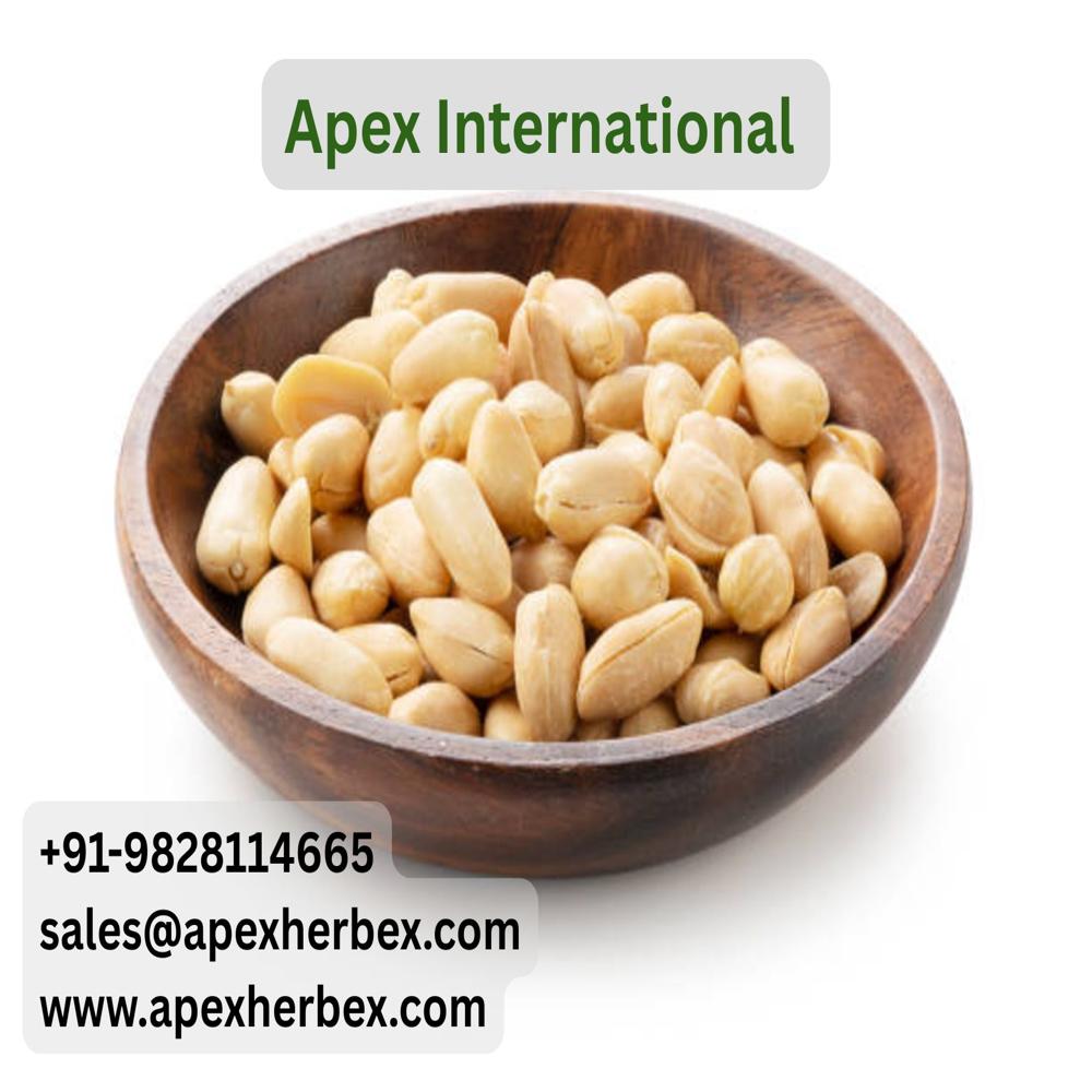 Blanched Roasted Peanut 42/50