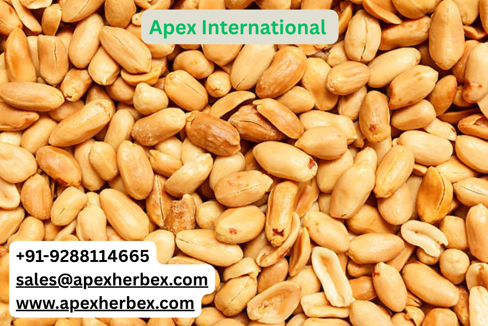 Blanched Roasted Peanut 50 60