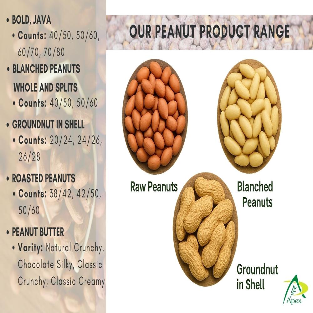 Blanched Roasted Peanut 38 42