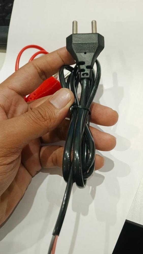 2 PIN MAIN LEAD BLACK