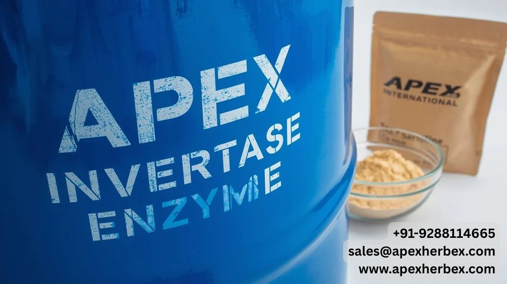 Invertase Enzyme Powder