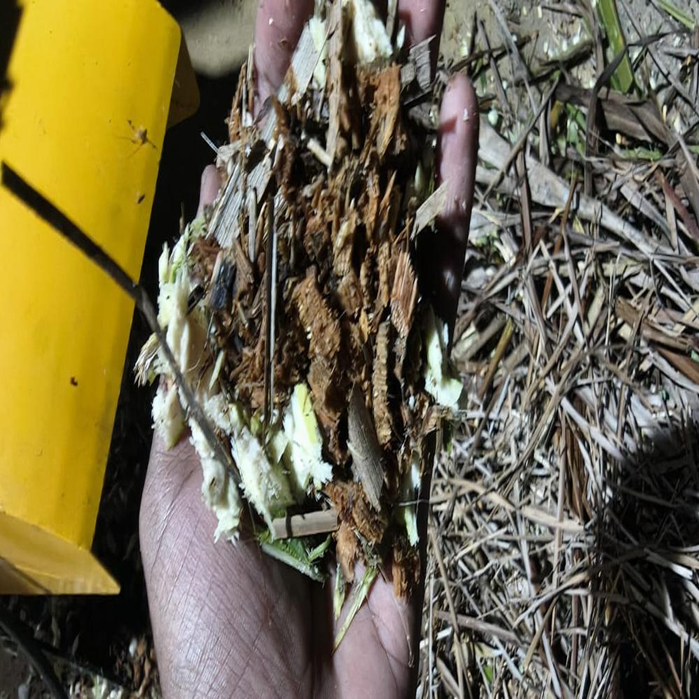 Small fire  wood chipper 