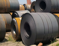 Alloy Steel Coil - Grade: Various Grades Available