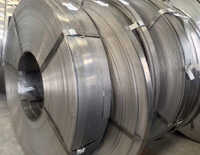 Alloy Steel Strip