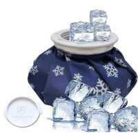 Ice Bag Small - Capacity: Up To 2 Kg Kg/hr