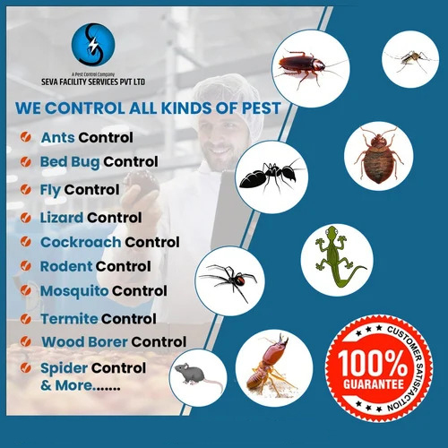 Residential Pest Control Services