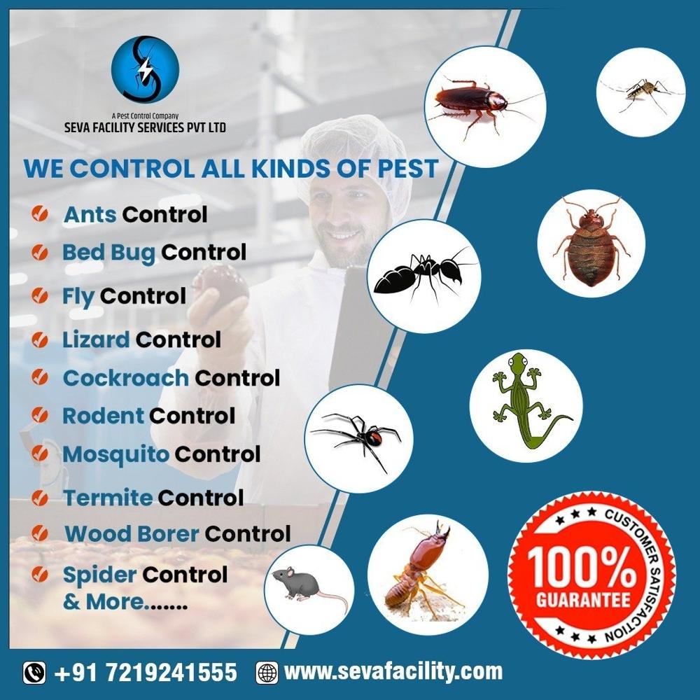Pest Control 