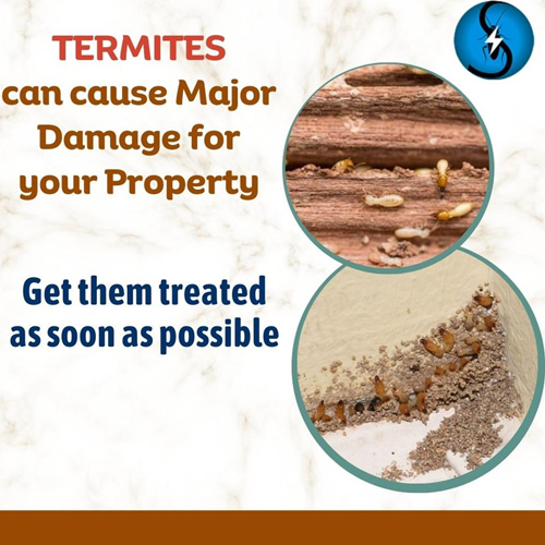 Anti Termite Soil Treatment Services